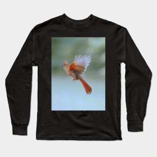 Cardinal in flight Long Sleeve T-Shirt